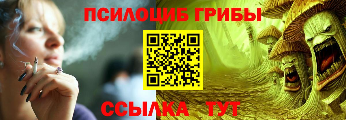 Галлюциногенные грибы Psilocybine cubensis Верхняя Салда