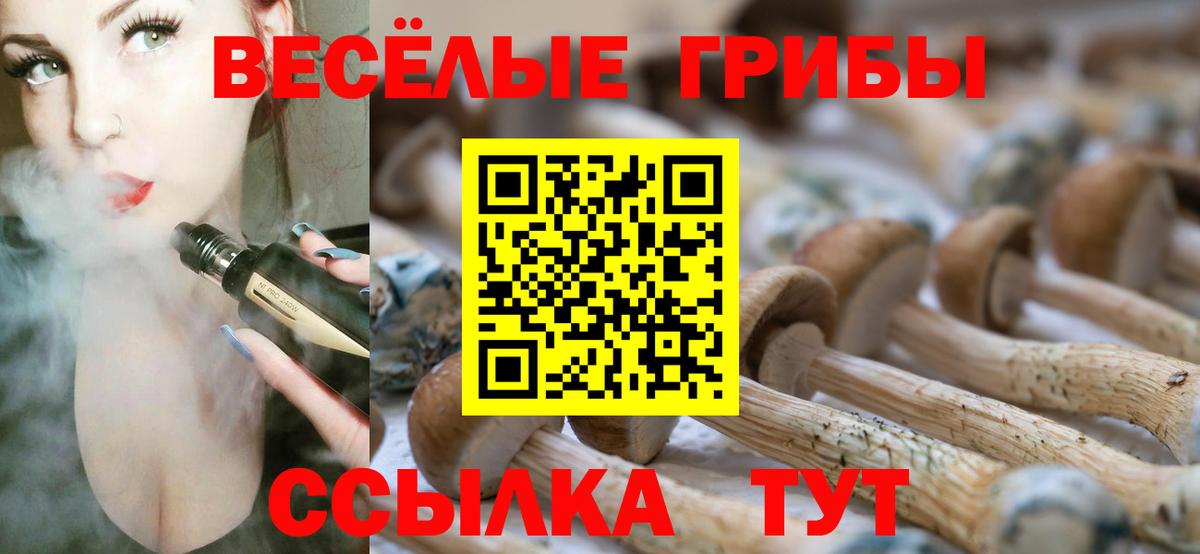 Галлюциногенные грибы MAGIC MUSHROOMS  Вход с VPN  Верхняя Салда 